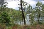 IMG 1256 (Copy)