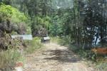 IMG 1258 (Copy)