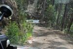 IMG 1259 (Copy)