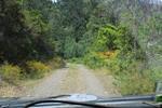 IMG 1261 (Copy)
