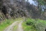 IMG 1262 (Copy)