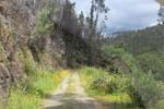 IMG 1263 (Copy)