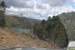 IMG 1264 (Copy)