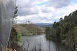 IMG 1265 (Copy)