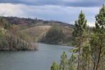 IMG 1270 (Copy)