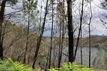 IMG 1271 (Copy)