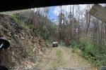 IMG 1272 (Copy)