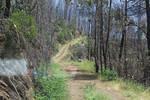 IMG 1274 (Copy)