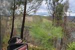 IMG 1276 (Copy)