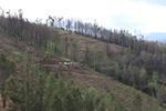 IMG 1281 (Copy)