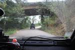 IMG 1284 (Copy)