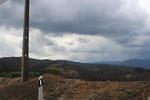 IMG 1288 (Copy)