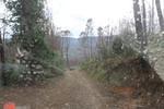 IMG 1290 (Copy)