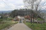 IMG 1292 (Copy)