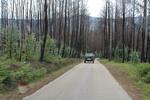 IMG 1293 (Copy)