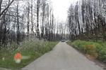 IMG 1294 (Copy)