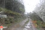 IMG 1310 (Copy)