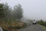 IMG 1313 (Copy)