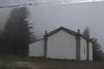 IMG 1314 (Copy)