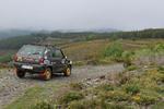 IMG 1326 (Copy)
