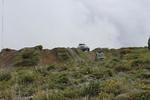 IMG 1329 (Copy)