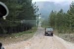 IMG 1334 (Copy)
