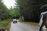 IMG 1336 (Copy)
