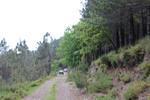 IMG 1356 (Copy)