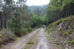 IMG 1358 (Copy)