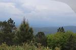 IMG 1360 (Copy)