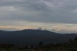 IMG 1376 (Copy)