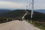 IMG 1378 (Copy)