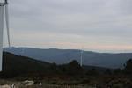 IMG 1382 (Copy)