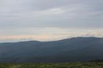 IMG 1391 (Copy)