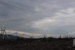 IMG 1395 (Copy)