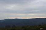 IMG 1397 (Copy)