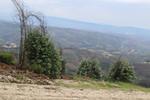 IMG 1400 (Copy)