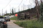 IMG 1408 (Copy)