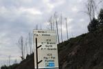 IMG 1409 (Copy)