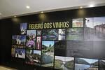 IMG 1413 (Copy)