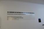 IMG 1419 (Copy)