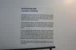 IMG 1420 (Copy)