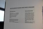 IMG 1422 (Copy)