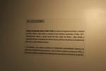 IMG 1426 (Copy)