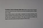 IMG 1427 (Copy)