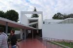 IMG 1432 (Copy)