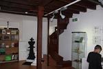 IMG 1433 (Copy)