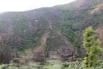 IMG 1446 (Copy)