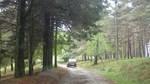 bmps2003 (121)