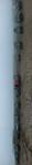 bmps2003 (138)